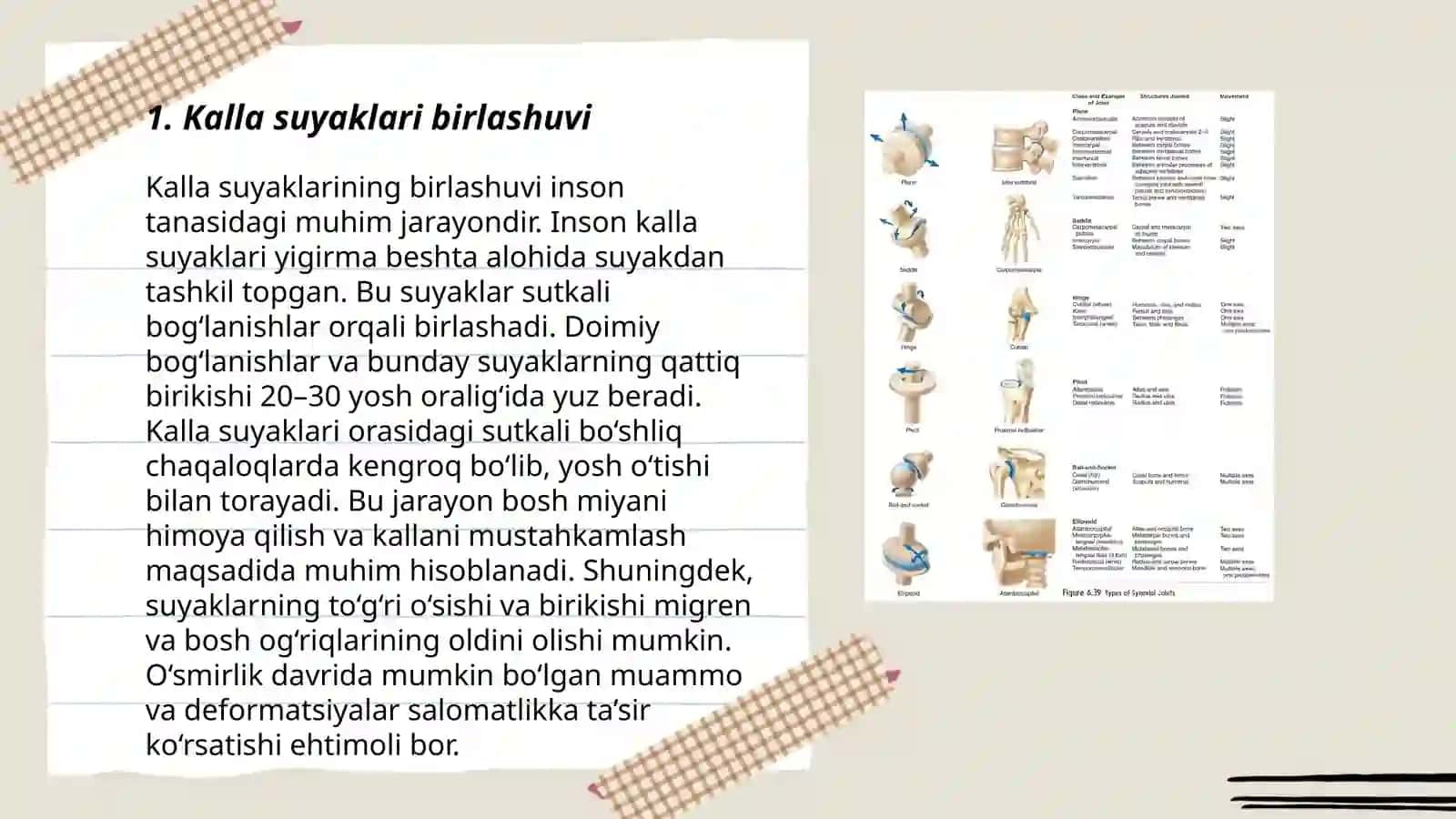 Birlashuvlar.Kalla suyaki birlashuvi.Chakka va pastgi jag'bo'g'imi. Yelka kamar,qo'l erkin suyaklar birlashuvi,xosil bo'lishi,tuzilishi,harakat o'q sathlar 3