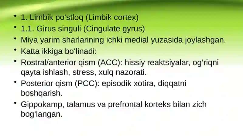 Limbik tizim, funksiyasi 3