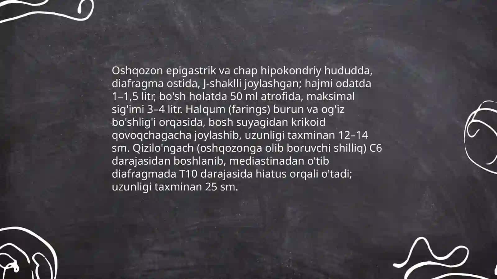 Oshqozon halqum qizilonggach umumiy tushunchasi 3