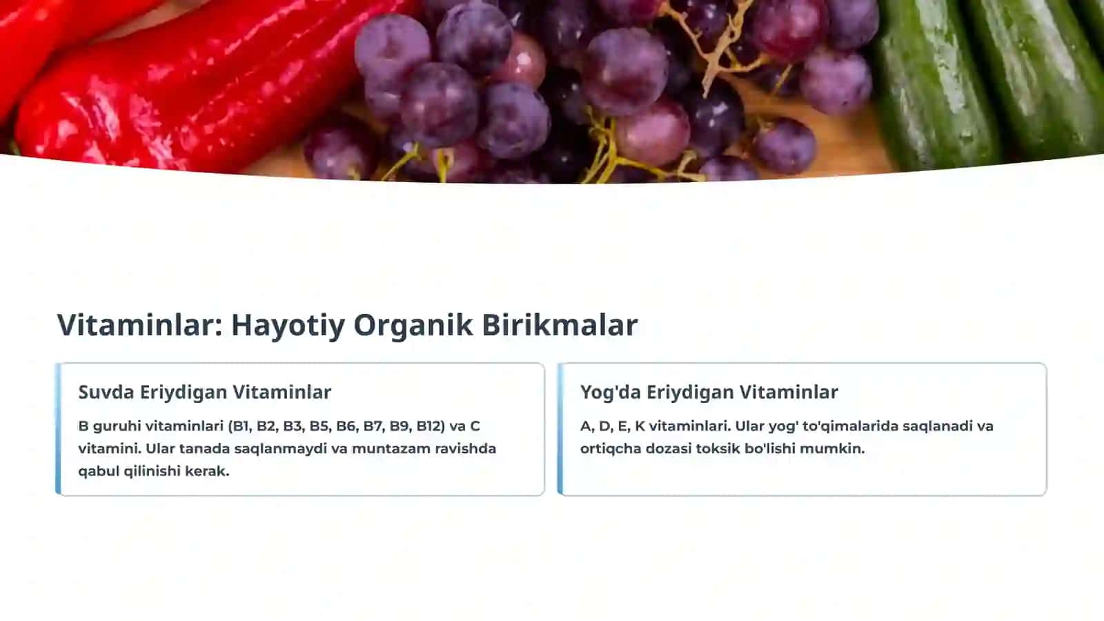 Vitaminlar, Kofaktorlar va Temir Preparatlarining Klinik Farmakologiyasi 3