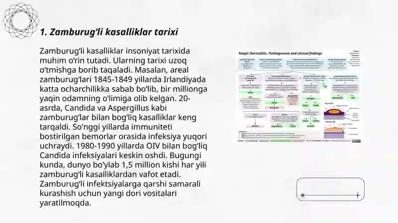 Zamburugʻli kasalliklarning qoʻzgʻatuvchilari, patogenezi va laboratoriya tashxisi 3