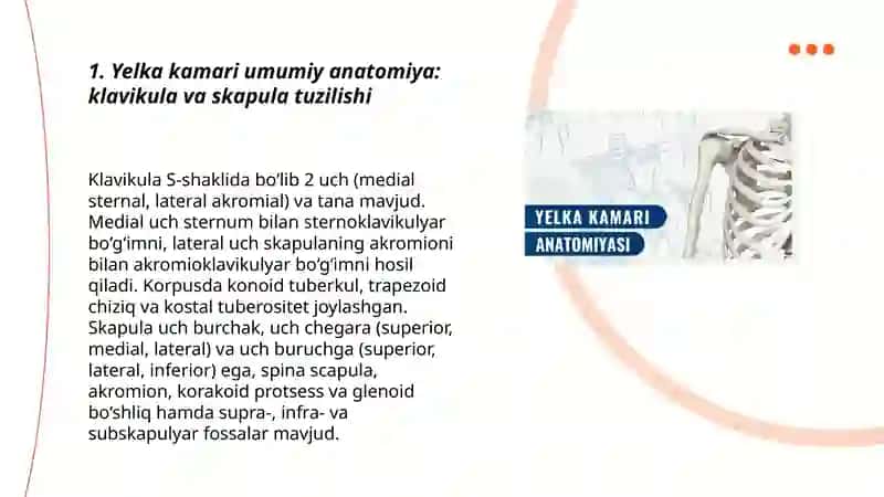 Yelka kamari va qo'l erkin qismi suyaklari: tuzilishi, yoshga doir xususiyatlari 3