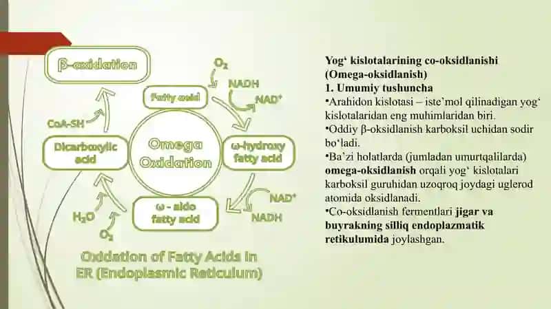 yog kislotalarning omega oksidlanishi ahamiyati buzikishlari 3