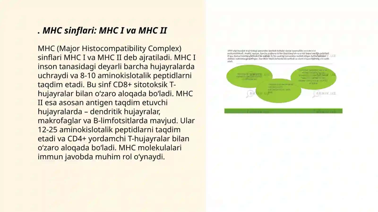 HLA-tizimi(MHC-tizimi).Komplement tizimi 3