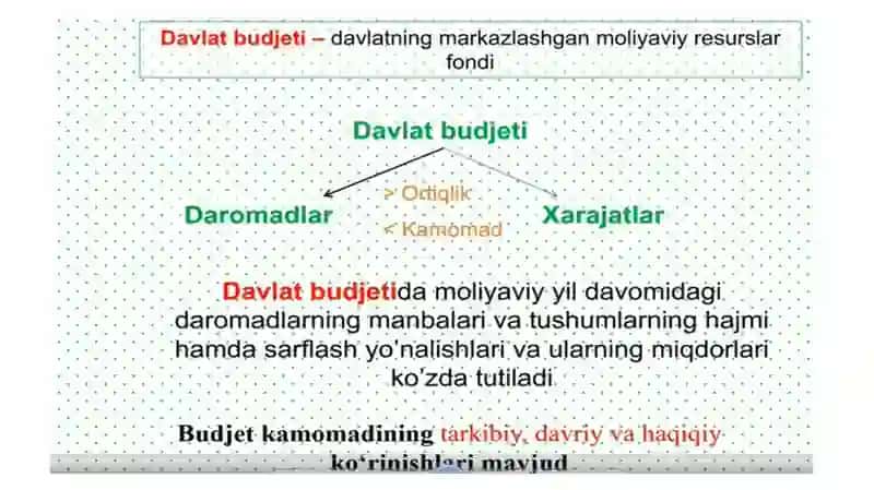 Davlat Byudjeti 3
