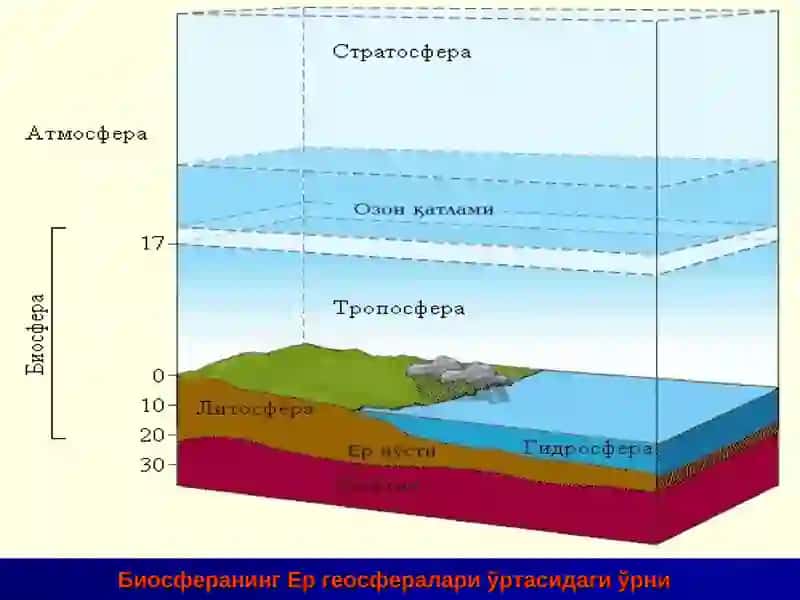 Biosferanin’ du’zilisi 3