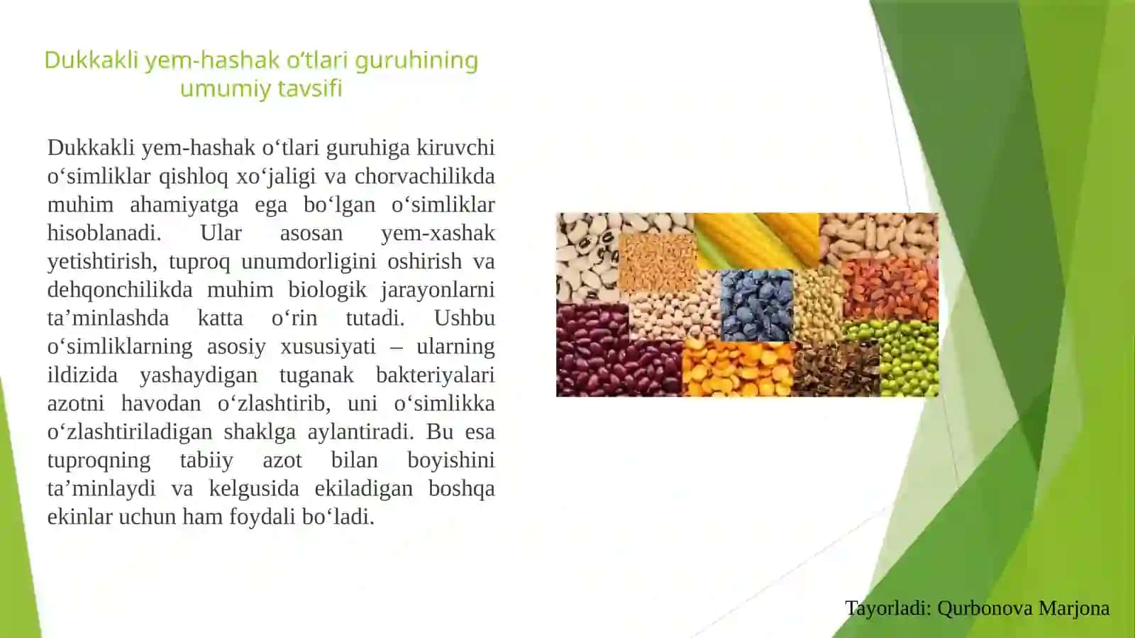 Dukkakliyem-hashako‘tlari  guruhining umumiy  tavsifi 3