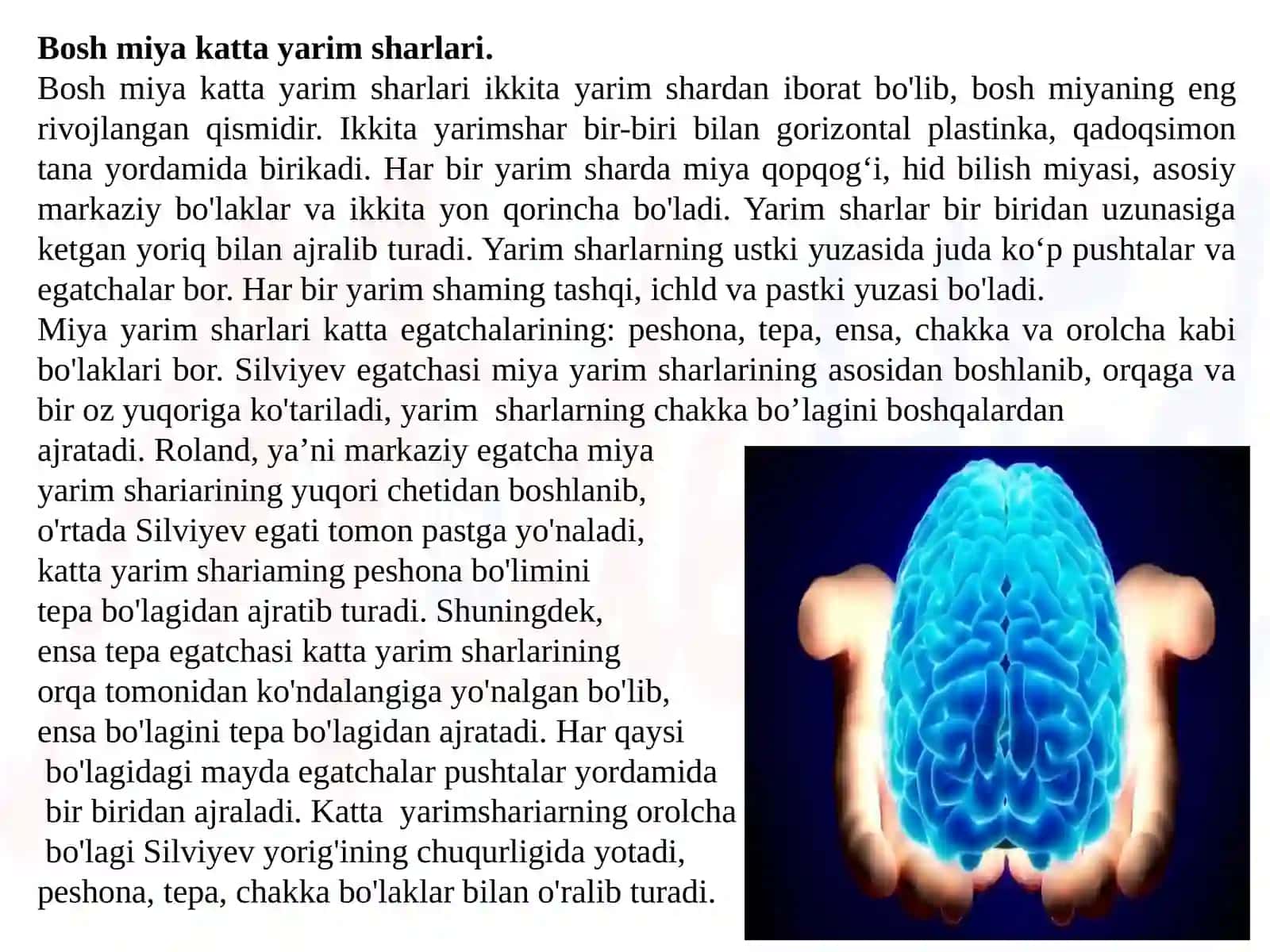 Oliy nerv faoliyati fiziologiyasining yosh xususiyatlari 3