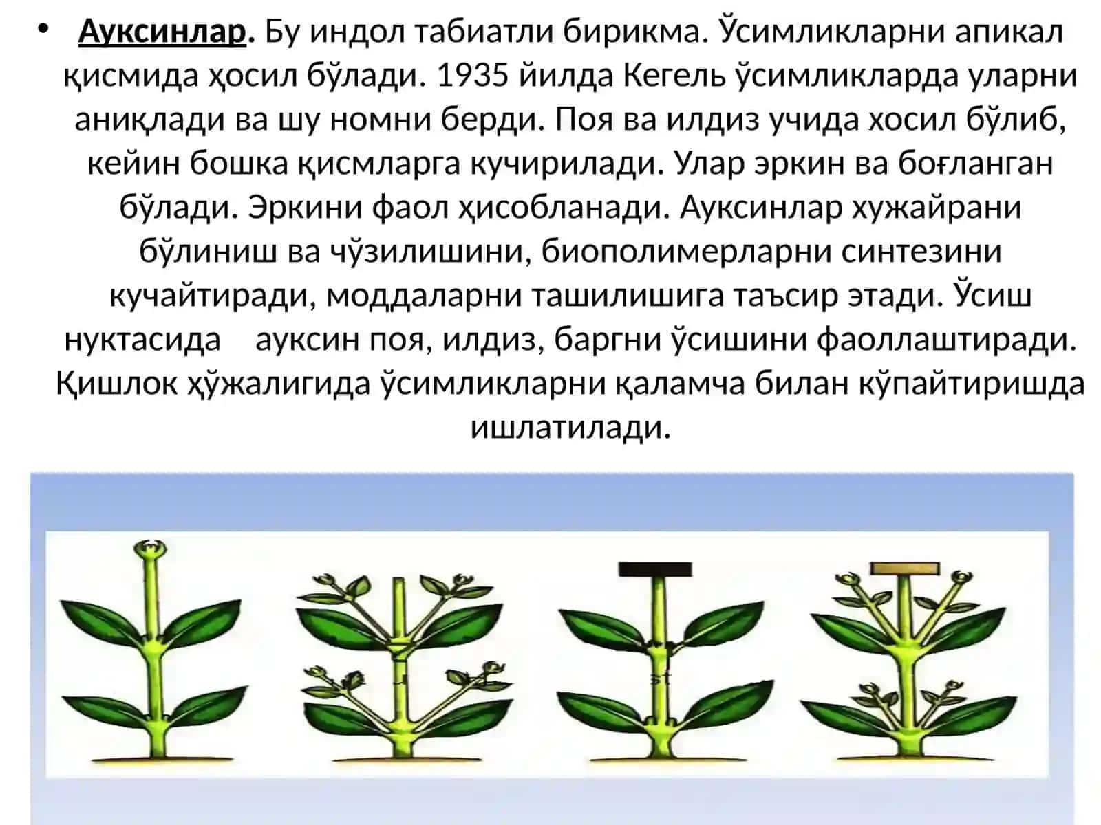 Физиологик фаол моддалар ва уларни қишлоқ хўжалигида қўлланилиши 3