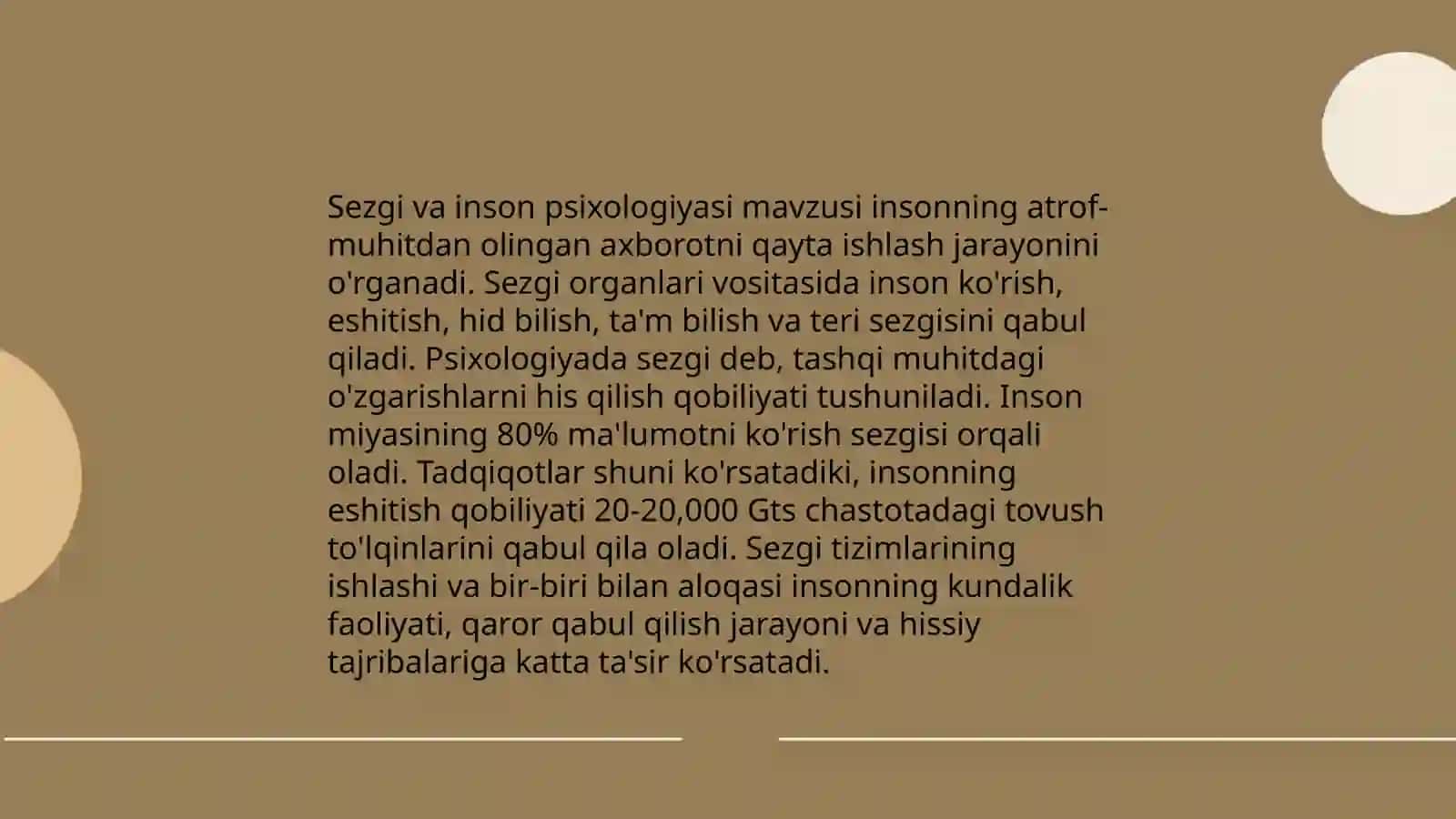 Sezgi 3