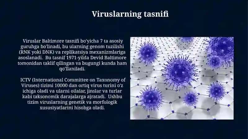 Viruslarni kelib chiqishi va ahamiyati 3