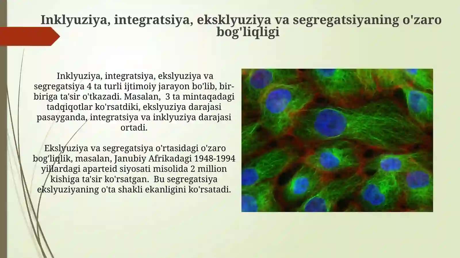 Inklyuziya, integrasiya, eksklyuziya va segregatsiya tushunchalari mavzusida SWOT” 3