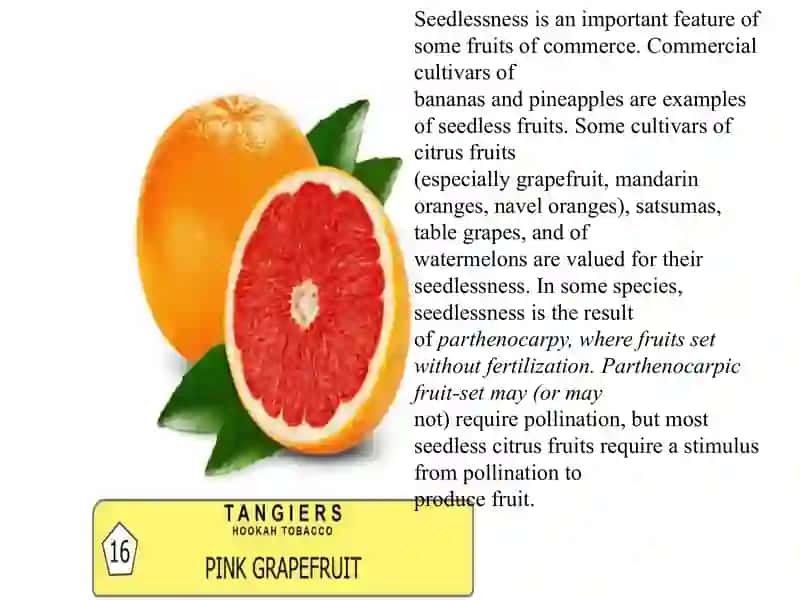 Fruits. 3
