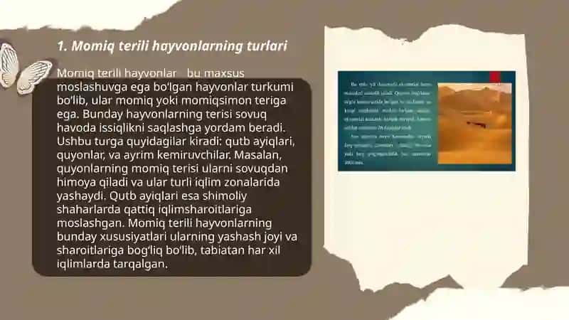 Momiq terili hayvonlarni urshitish zonalari va tabiyiy iqlim sharoitlari 3