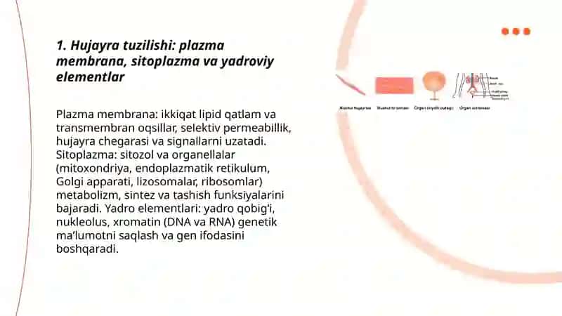 Odam organizmidagi hujayra va tŏqimalarning tuzilishi 3