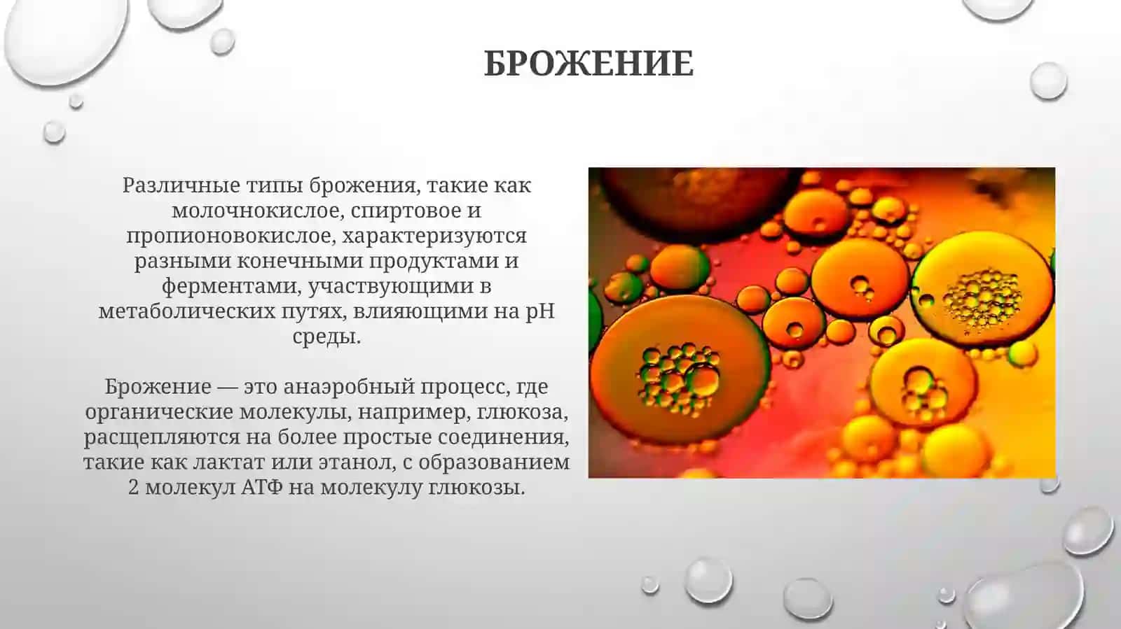 Катаболический метаболизм. Способы и виды производства 3