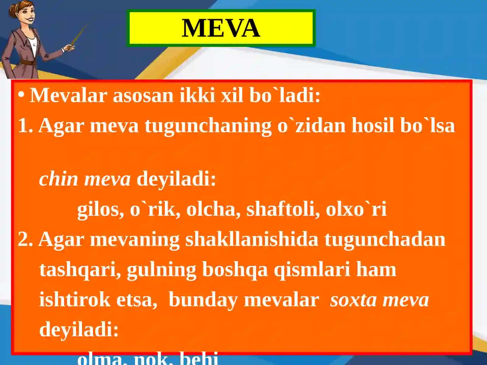 MEVA.MEVALARNING TABIATDAGI VA INSON HAYOTIDAGI AHAMIYATI 3