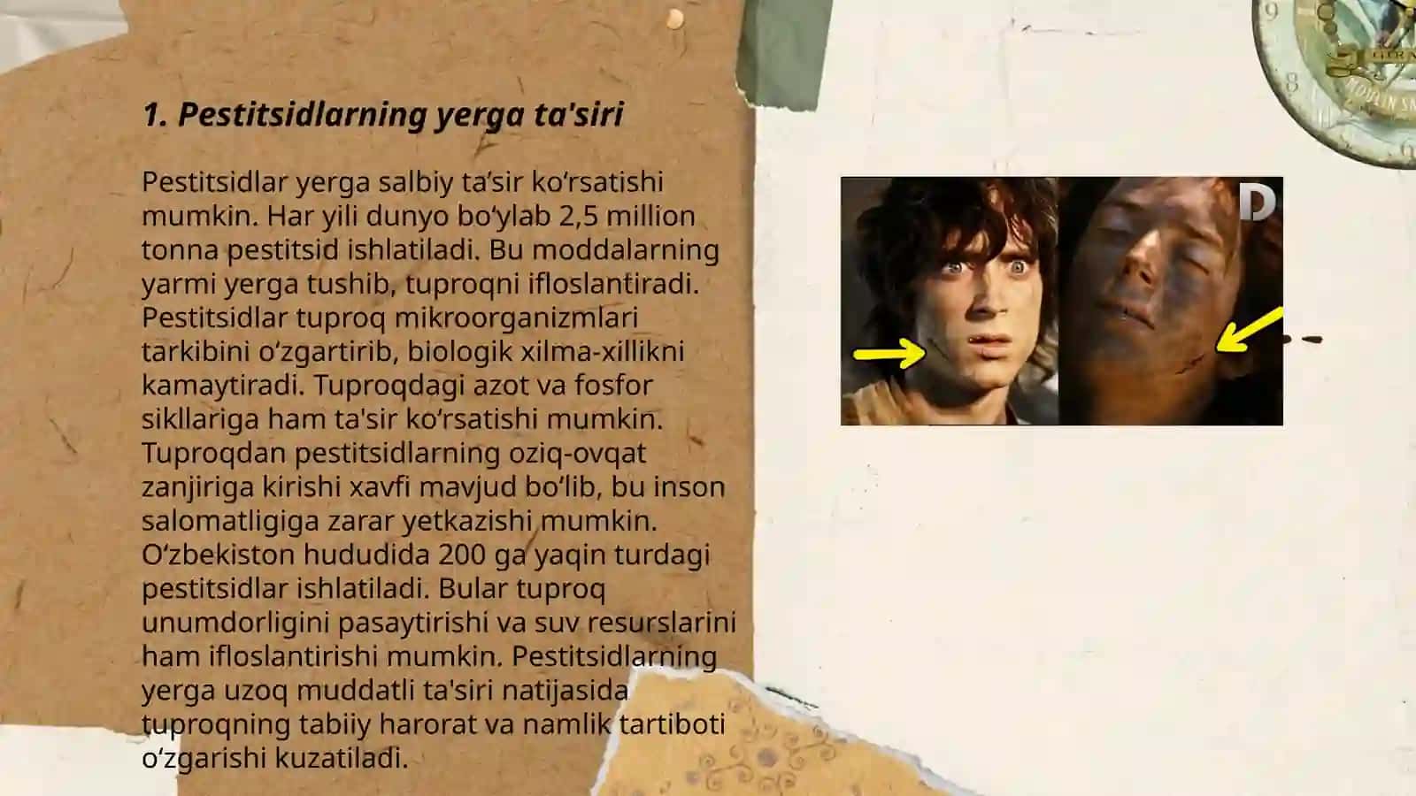 Pestitsidlarning tabiatga tasiri 3