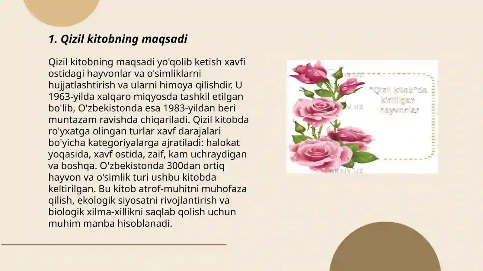 Qizil kitob 3