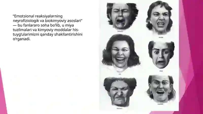 Emotional reaksiyalarning neyrofiziologik va biokimyoviy asoslari 3