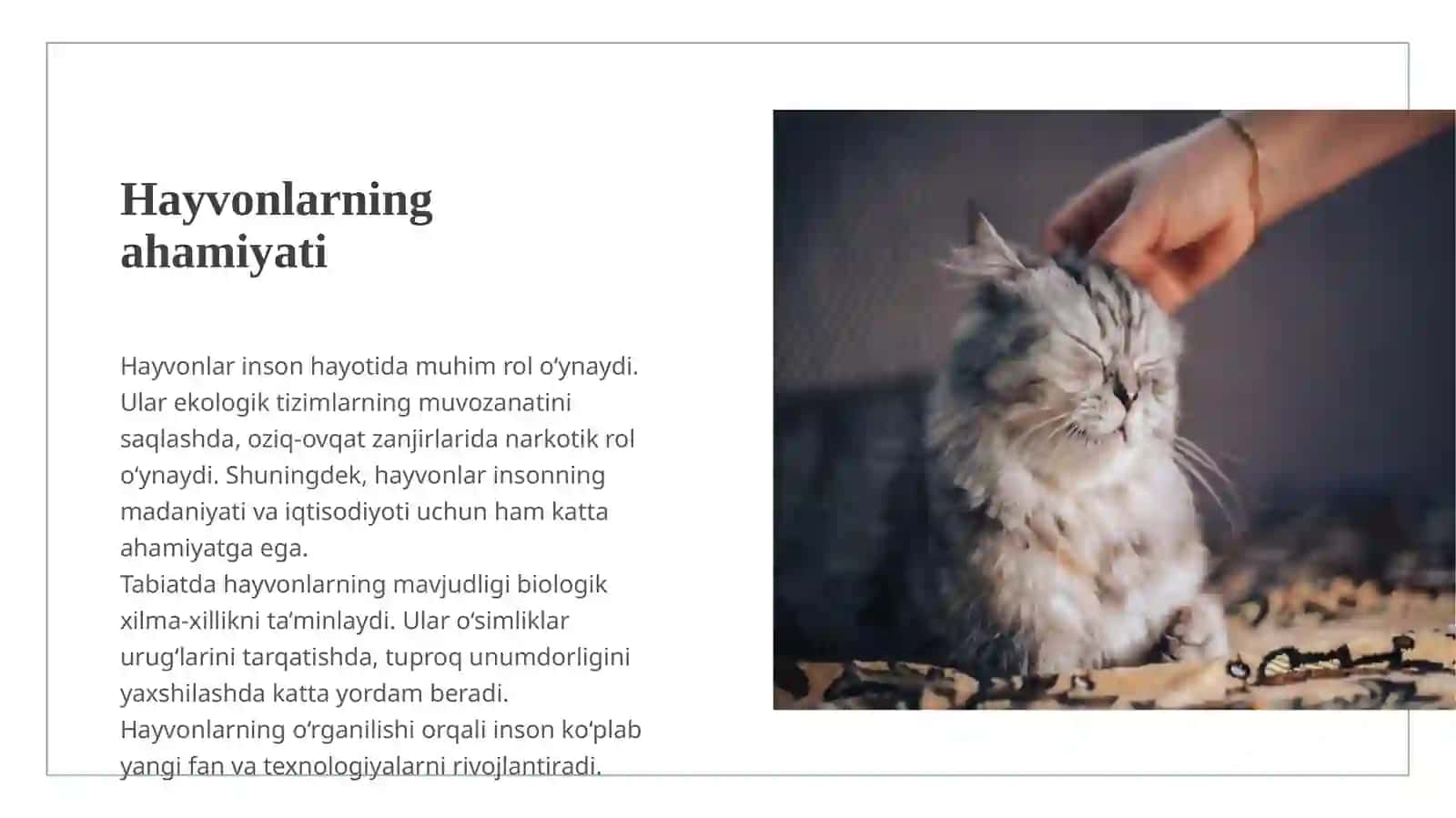 Hayvonlarning ahamiyatini urganamiz 3