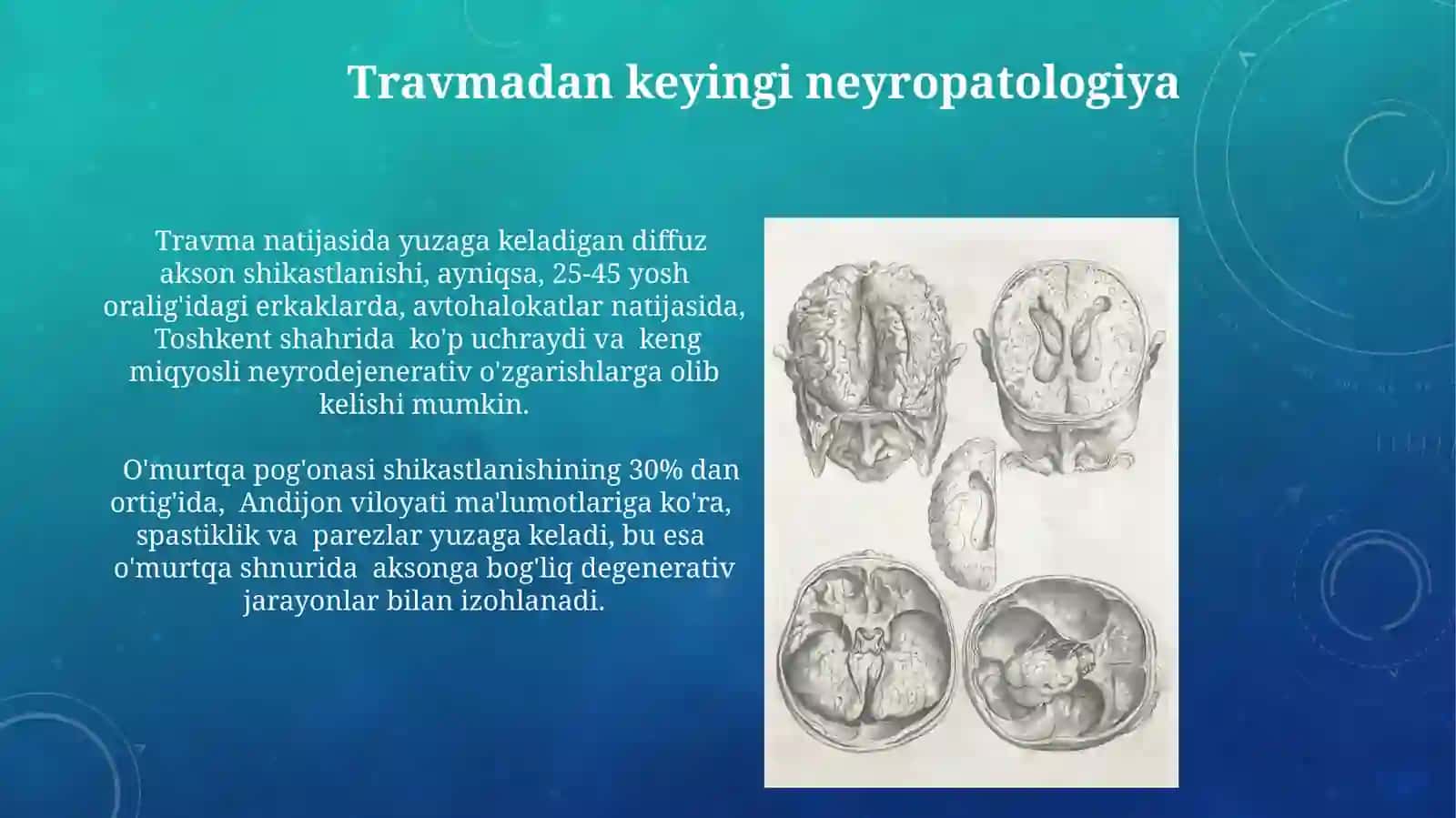 nevropotologiya 3