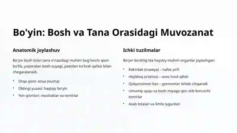 Bosh, Bo'yin va Tana Bo'shliqlari Anatomiyasi 3