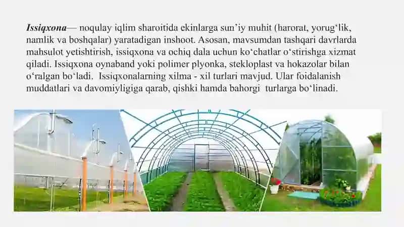 Issiqxona samarasi 3