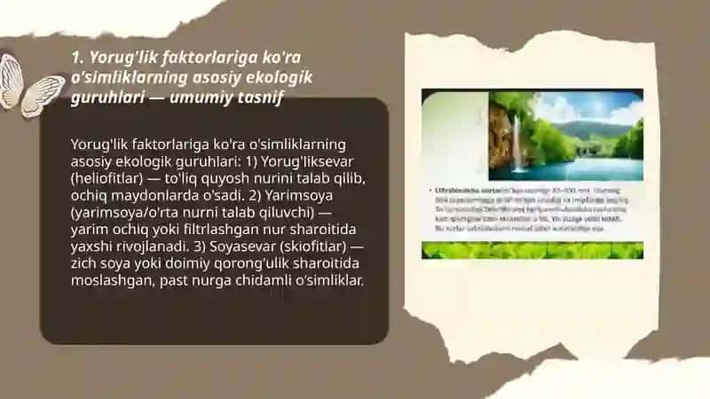 Yoruĝlik faktorlariga kòra òsimliklarning ekalogik guruhlari 3