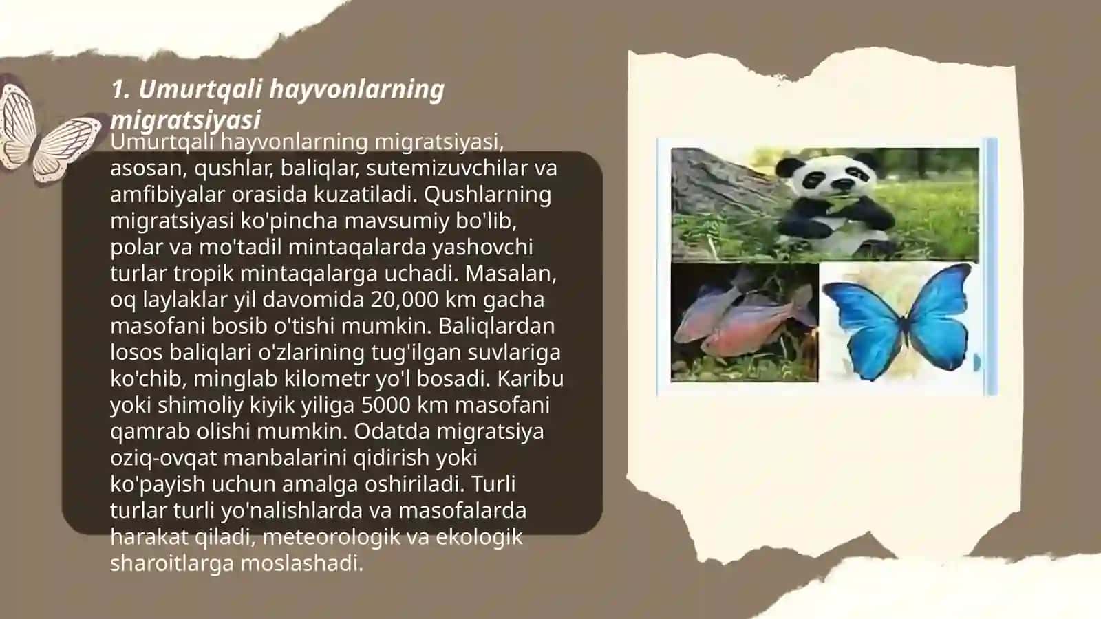 Umurtqali hayvonlarning tarqalishi va mavsumiy joylashishda chidamliligi 3