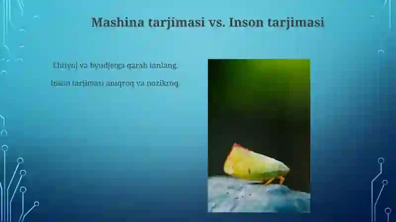 Yechim: Aniq Muloqot 3