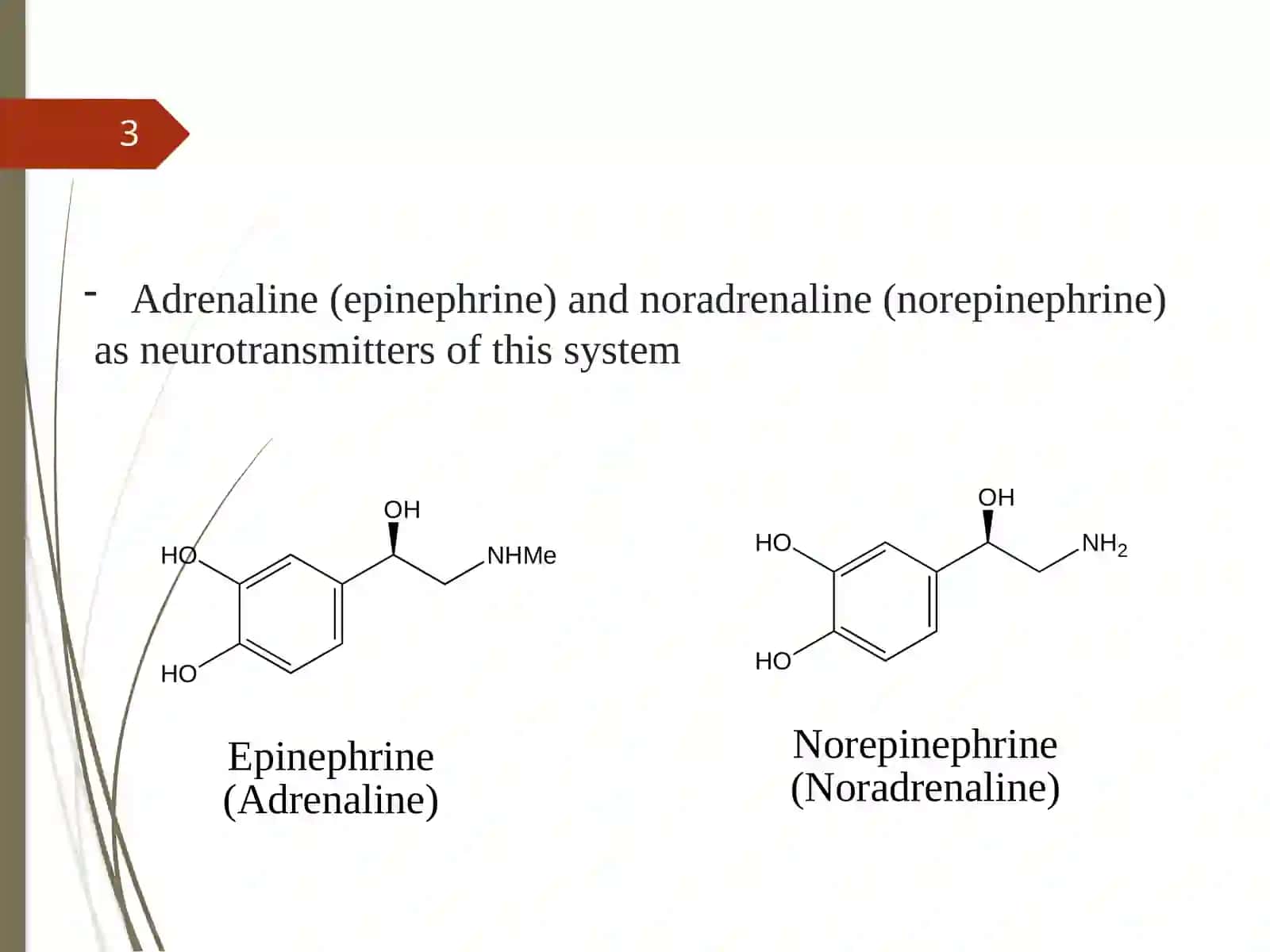 Adrenaline(epinephrine) and noradrenaline (norepinephrine) as neurotransmitters of this system 3