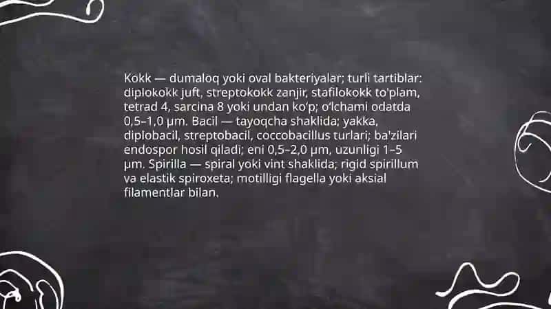 Mikroorganizmlarning morfologiyasi va boʻyash usullari 3