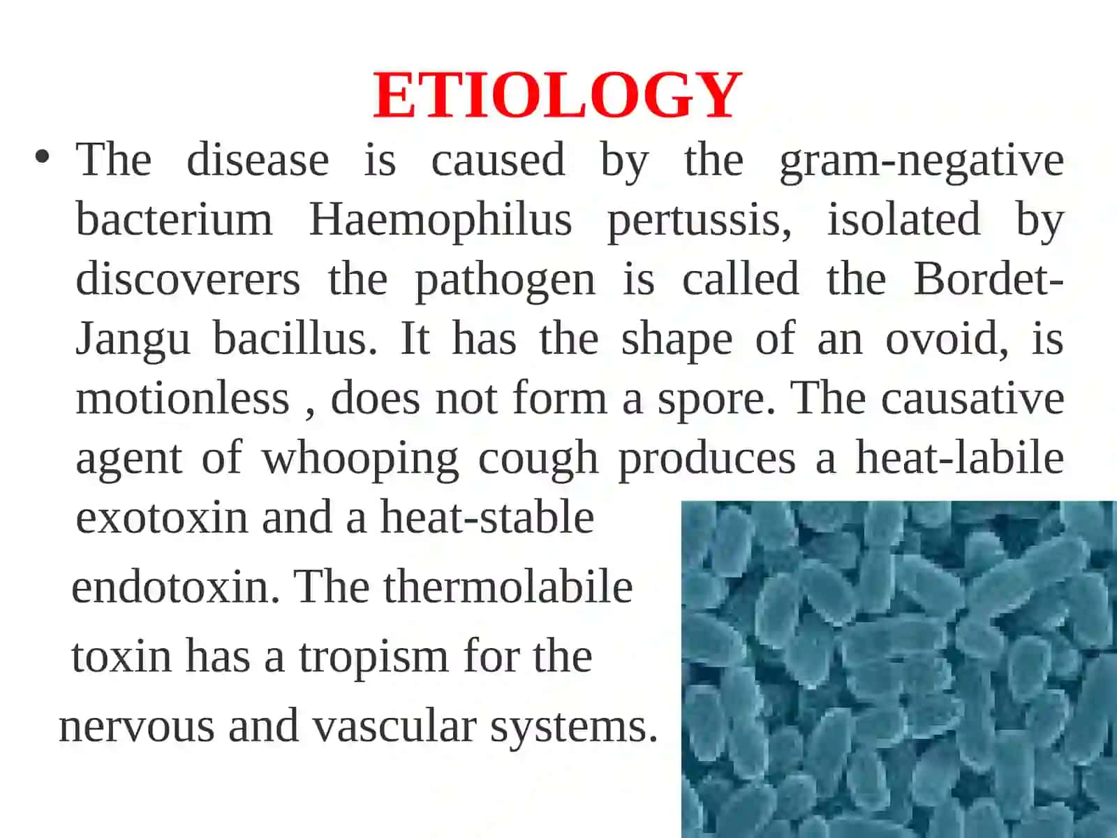 Whooping cough and parapertussis 3