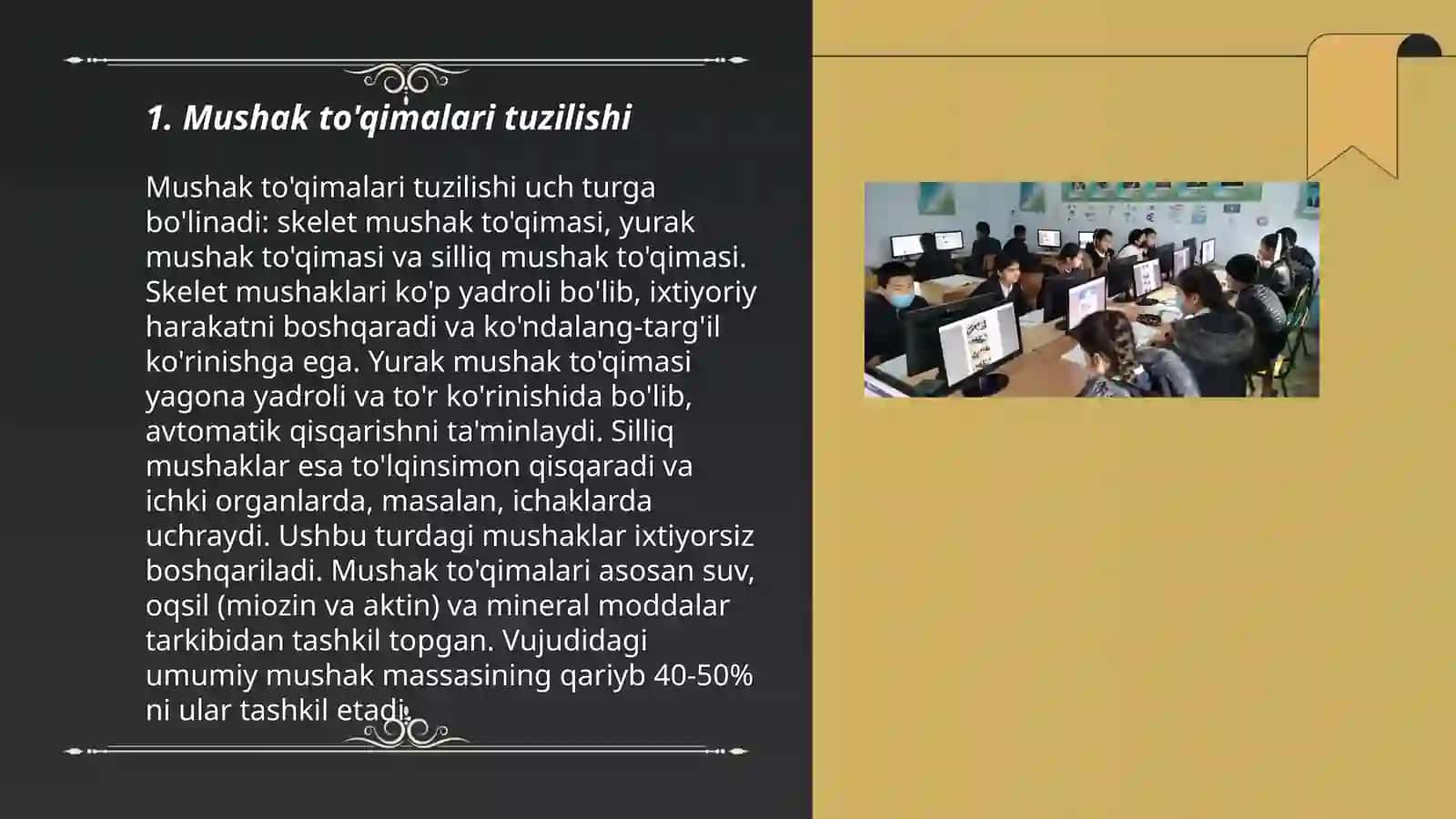 Mushaklarning ishi va biomexanikasi. Sport va jismoniy mehnatning mushaklarga tasiri 3