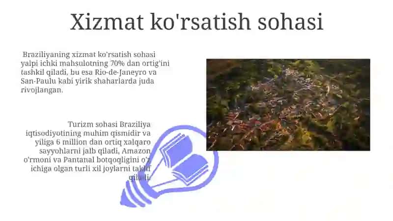Braziliyaga iqtisodiy geografik tavsif 3