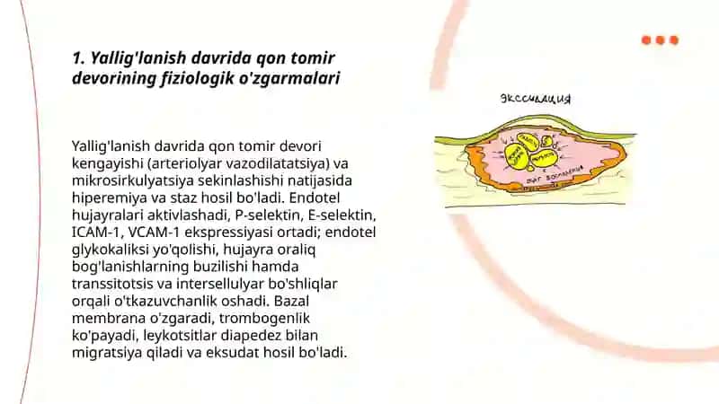 Yallig'lanish vaqtida qon tomir devorining o'tkazuvchanligi, mahalliy simptomlar mexanizmi. Ekssudatning kimyoviy va morfologik tarkibi, xemotaksis turlari 3