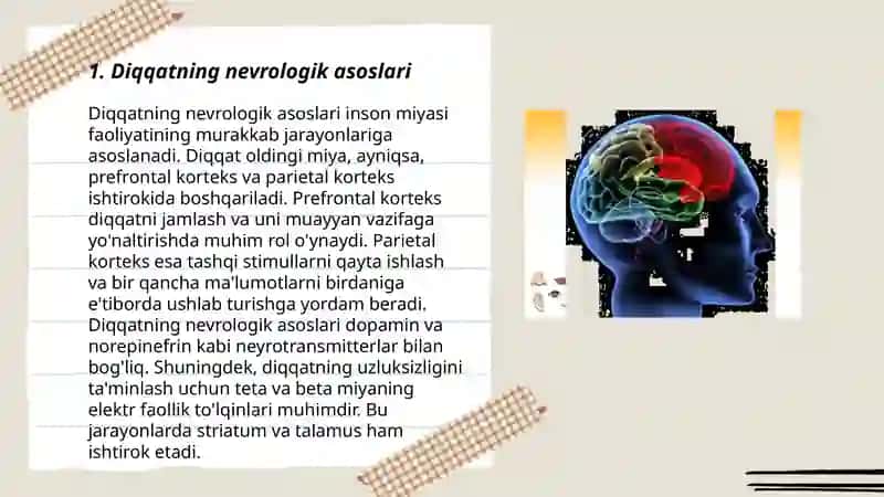 Diqqatning psixofiziologik indikatorlari va mexanizmlari 3