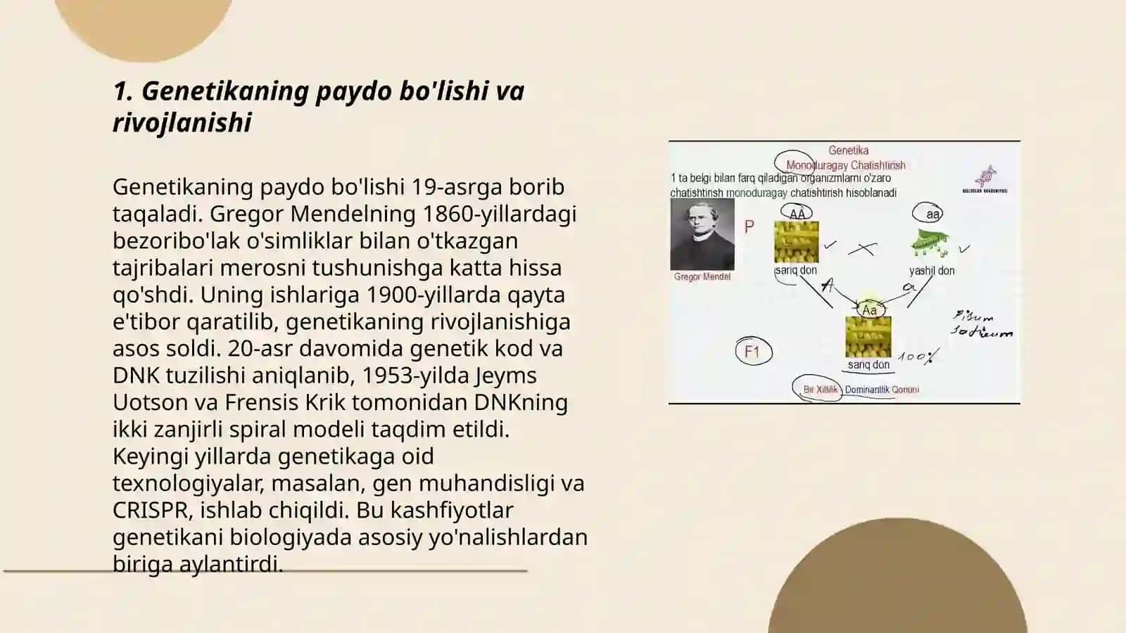 Genetikaning rivojlanish tarixi. G.Mendel qonunlari. Monoduragay chatishtirish 3