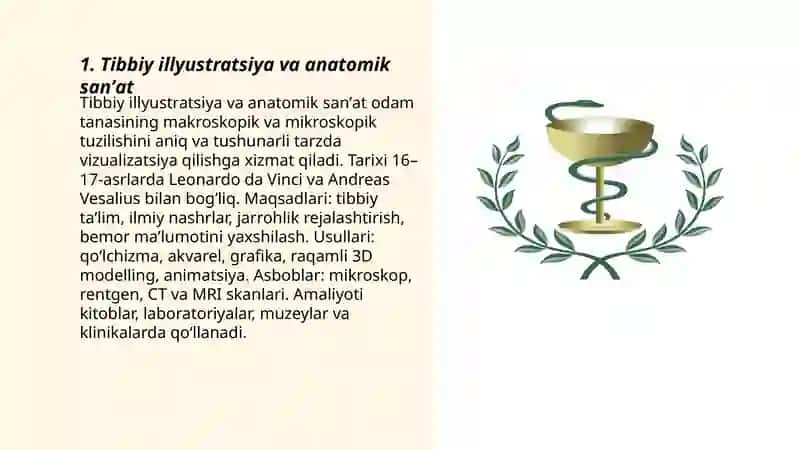 Tibbiy illyustratsiya va anatomik sanʼat 3