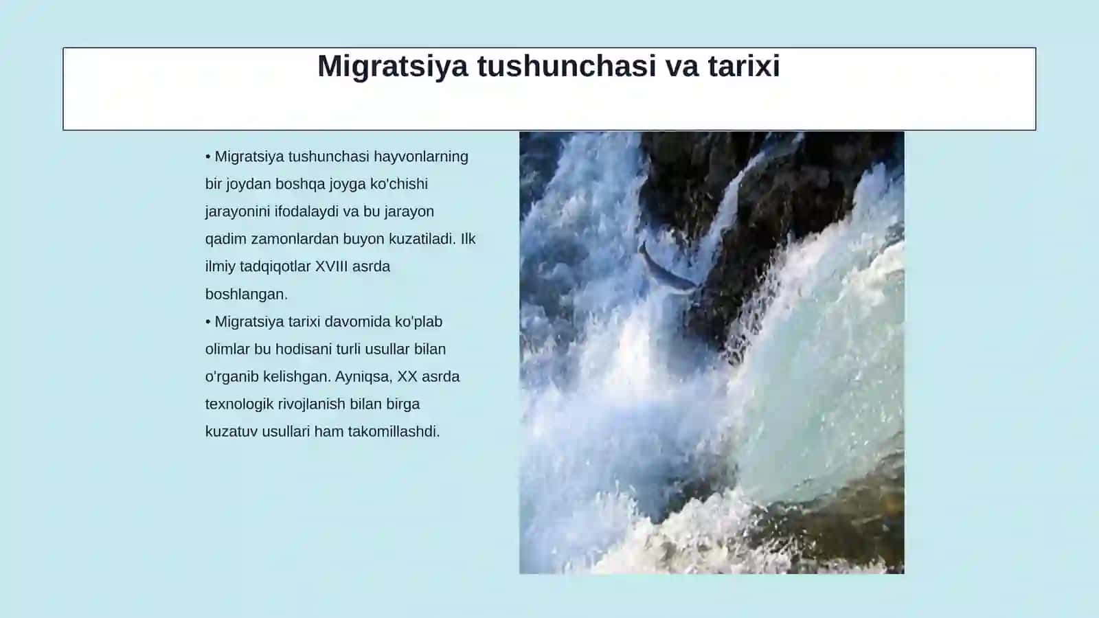 MIGRATSIYA YOLI BILAN HAYOT KECHIRUVCHI HAYVONLAR XILMA-XILLIGINI ANIQLASH 3