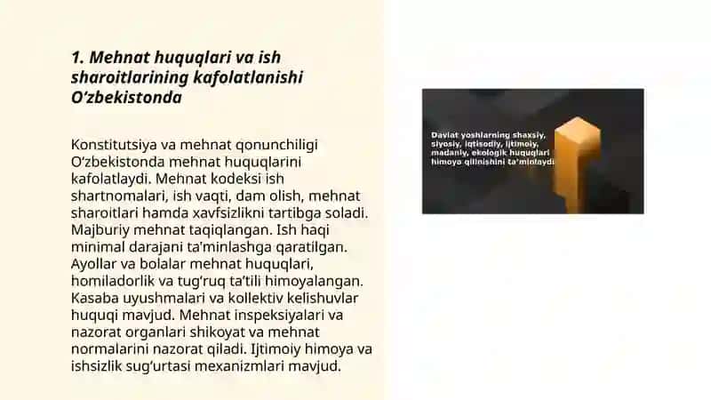 Oʻzbekiston Respublikasida Iqtisodiy, ijtimoiy, madaniy va ekologik huquqlar 3