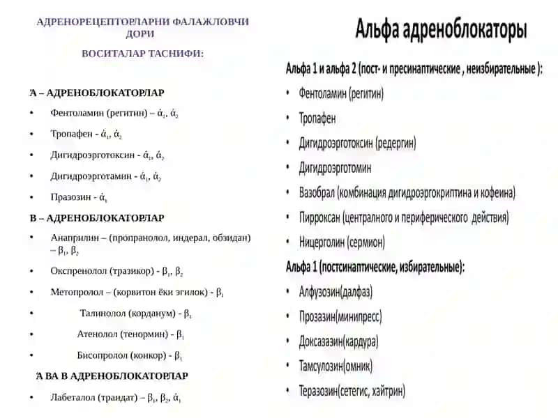 Адренергик синапсларни блокловчи дори воситалар. Адреноблокаторлар 3