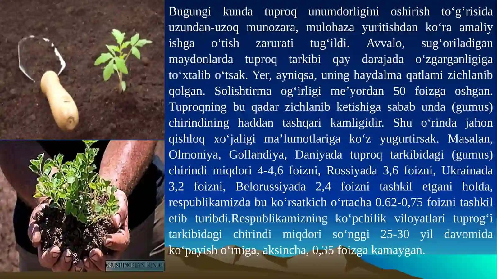Tuproq unumdorligi, madaniyligi va ularni yaxshilash usullari 3