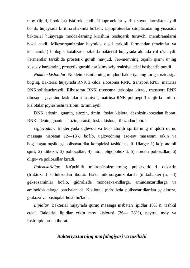 Bakteriyalar ultrastrukturasi 3
