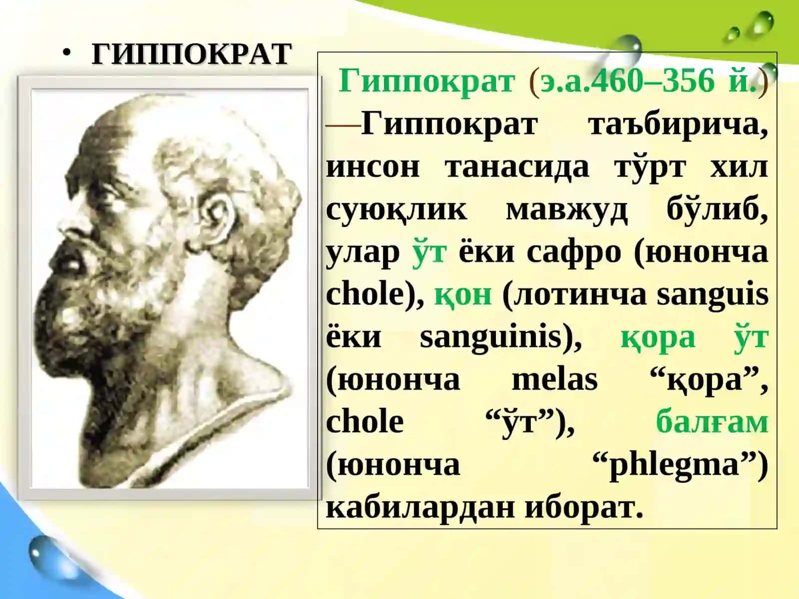 ШАХСНИНГ ИНДИВИДУАЛТИПОЛОГИК ХУСУСИЯТЛАРИ 3