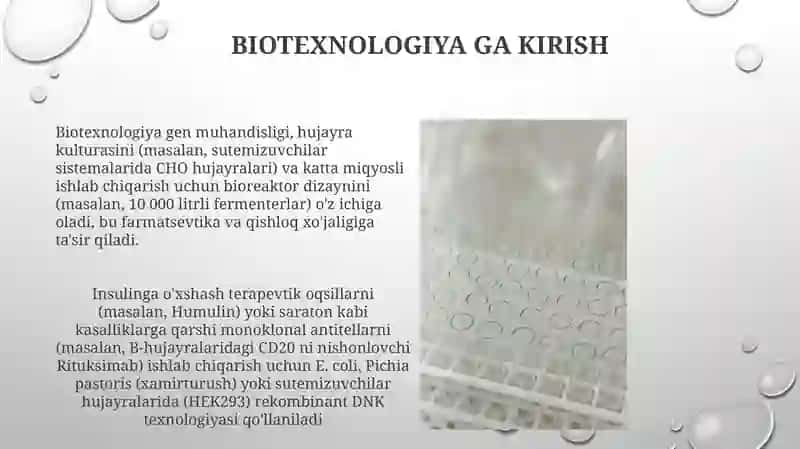 Oqsil va antibiotiklar ishlab chiqarish biotexnologiyasi 3