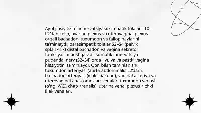 Ayollar jinsiy tizimi innervatsiyasi va qon bilan taminlanishi 3