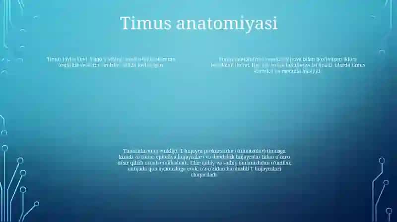 Timusdagi T Limfositlarning Yetilish Jarayoni 3