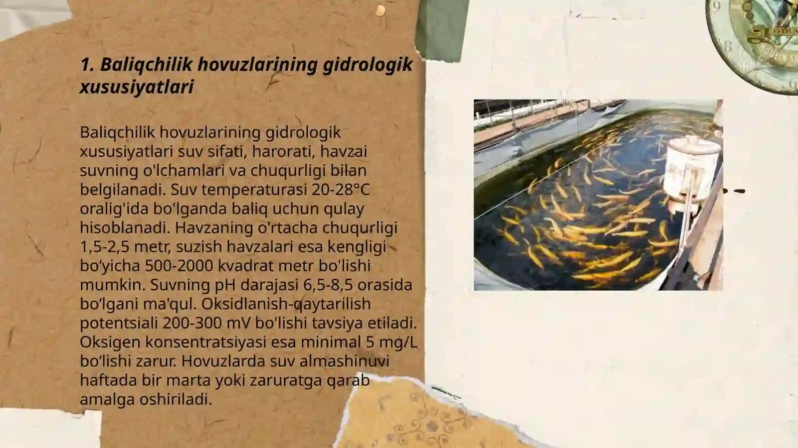Baliqchilik hovuzlari gidrologiyasi, gidrokimyosi,gidrobiotsenozi 3